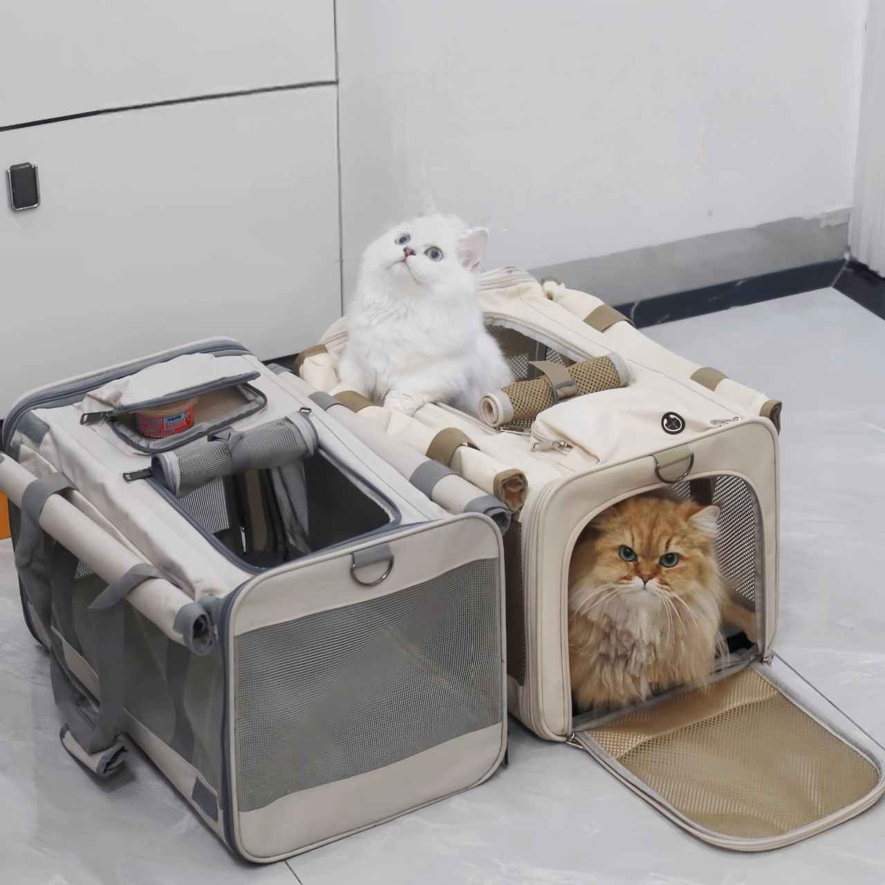 Portable Large Pet Carrier Bag for Outdoors