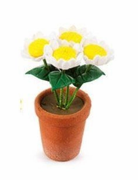 Potted Daisies