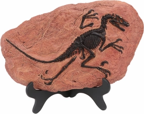 PRETYZOOM 1Pc Simulation Dinosaur Adornment Educational Plaything Desktop Ornament for Creative Decor and Collectible Dino Model for Themed Parties
