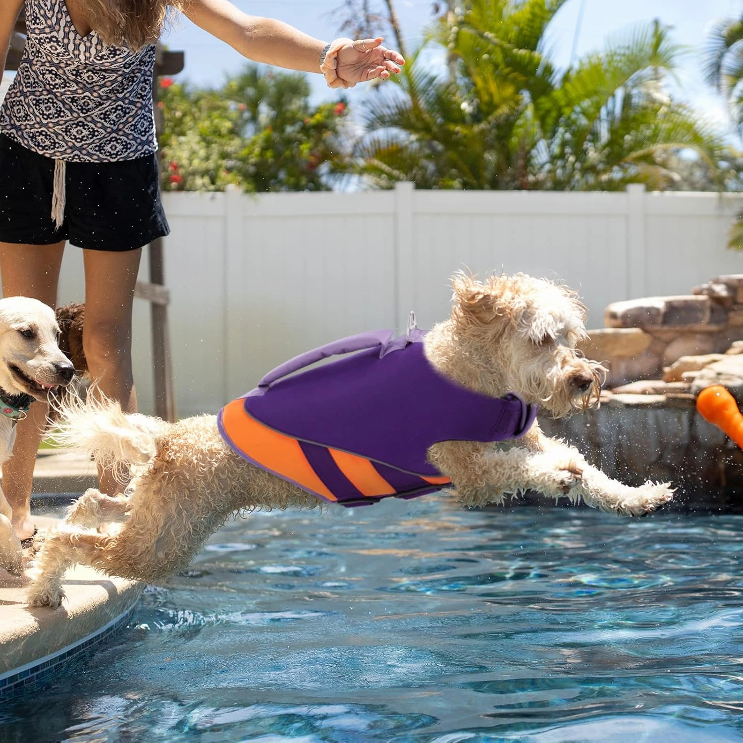 Queenmore Dog Life Jacket,Dog Life Vest for Swimming Boating,Life Jackets for Small Dogs,Ripstop Pet Life Vests with Strong Rescue Purple,S