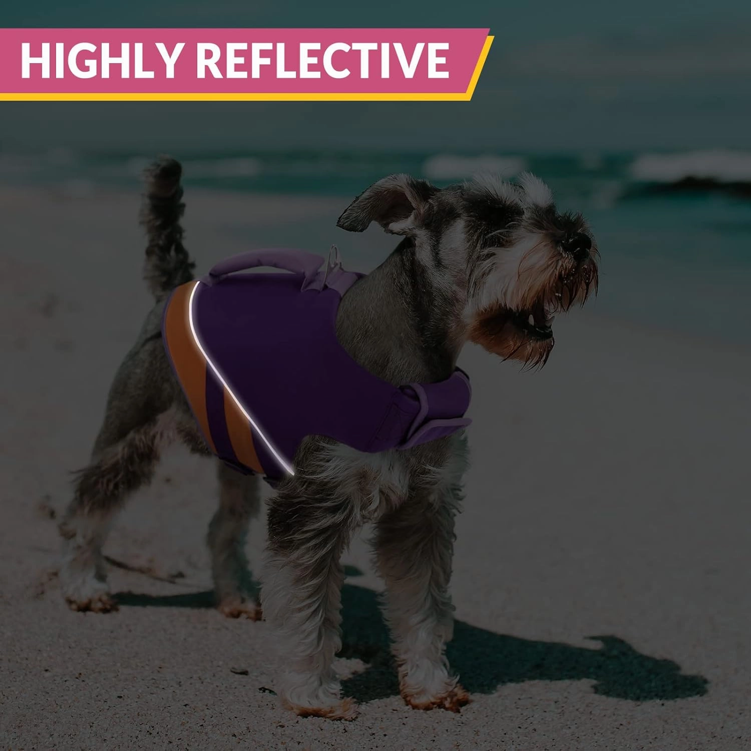 Queenmore Dog Life Jacket,Dog Life Vest for Swimming Boating,Life Jackets for Small Dogs,Ripstop Pet Life Vests with Strong Rescue Purple,S