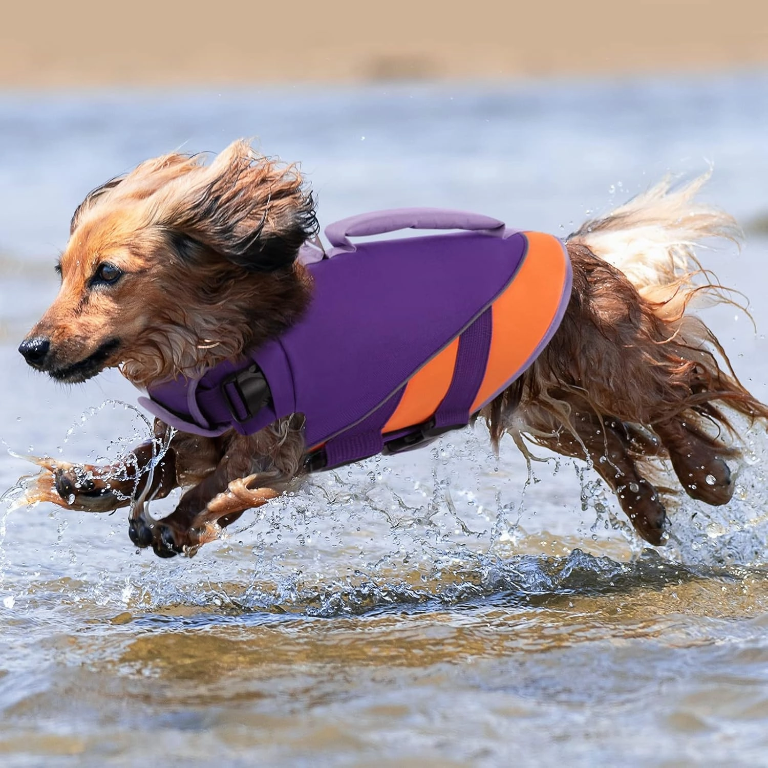 Queenmore Dog Life Jacket,Dog Life Vest for Swimming Boating,Life Jackets for Small Dogs,Ripstop Pet Life Vests with Strong Rescue Purple,S