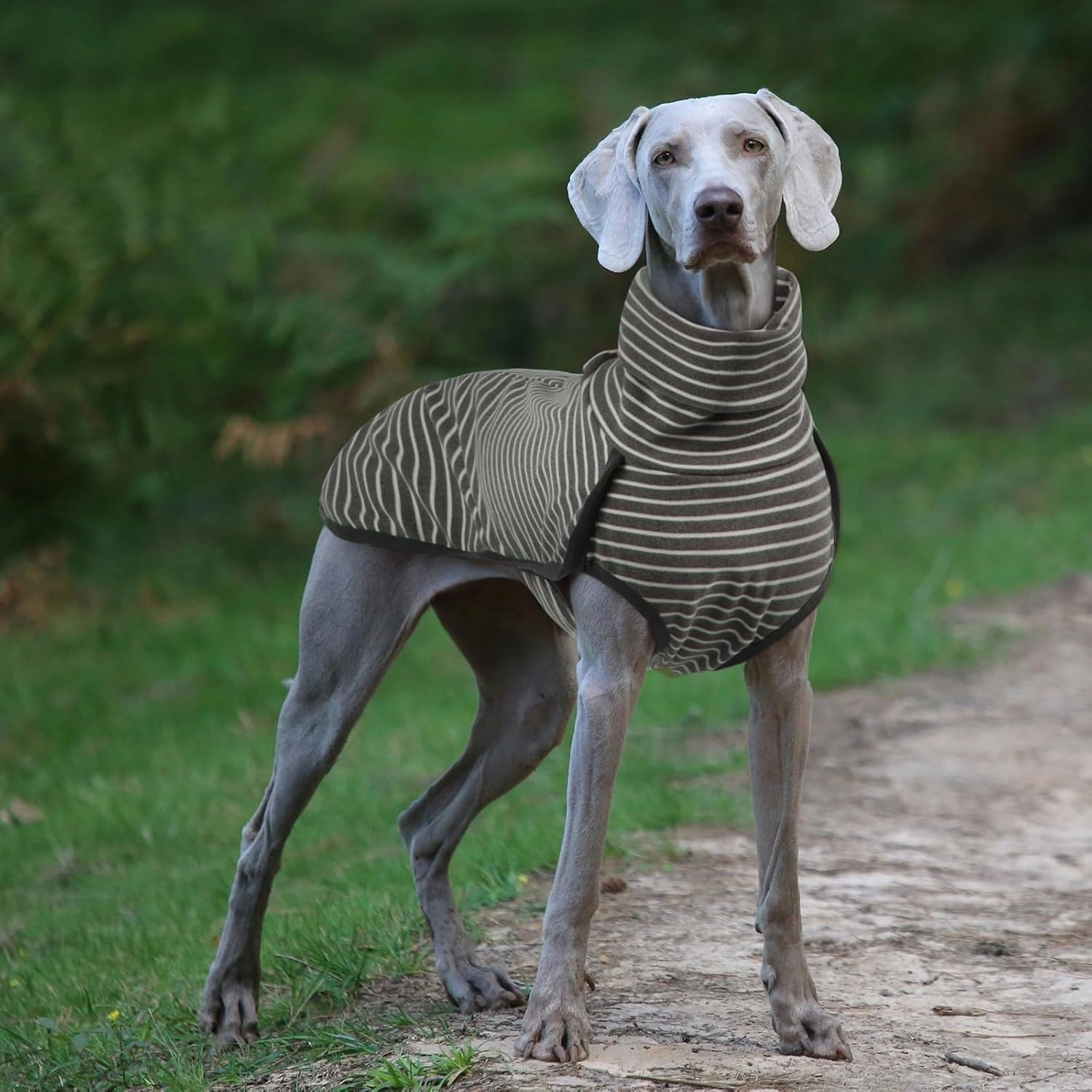 ROZKITCH Dog Winter Coat Soft Pullover Pajamas, Pet Windproof Warm Cold Weather Jacket Vest Cozy Jumpsuit Apparel Outfit Clothes for Small, Medium, Large Dogs Walking Hiking Travel Sleep Stripe 2XL
