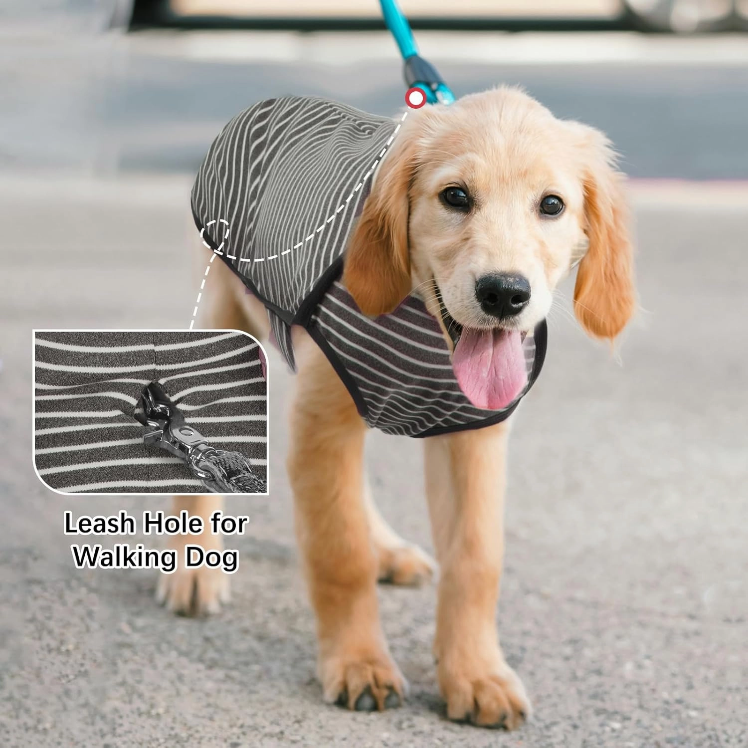ROZKITCH Dog Winter Coat Soft Pullover Pajamas, Pet Windproof Warm Cold Weather Jacket Vest Cozy Jumpsuit Apparel Outfit Clothes for Small, Medium, Large Dogs Walking Hiking Travel Sleep Stripe 2XL