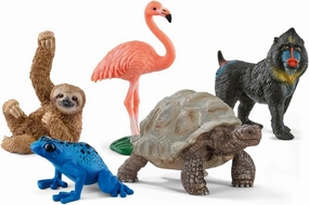 Schleich Wild Animals Realistic Animal Toys 5-Piece Exotic Animal Starter Set with Flamingo, Sloth, Poison Dart Frog, Giant Tortoise and Mandrills Figurines