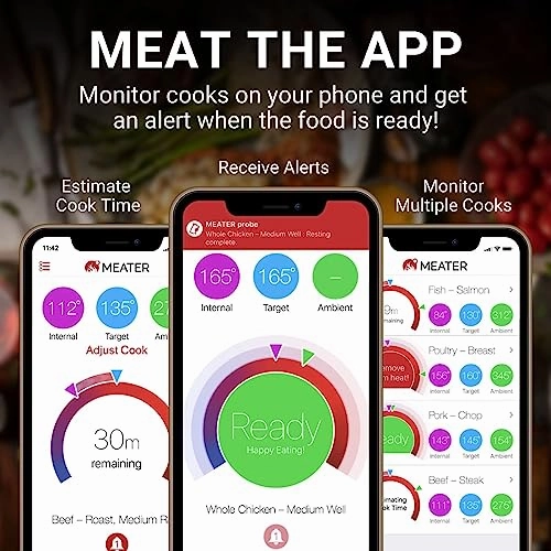Smart Meat Thermometer