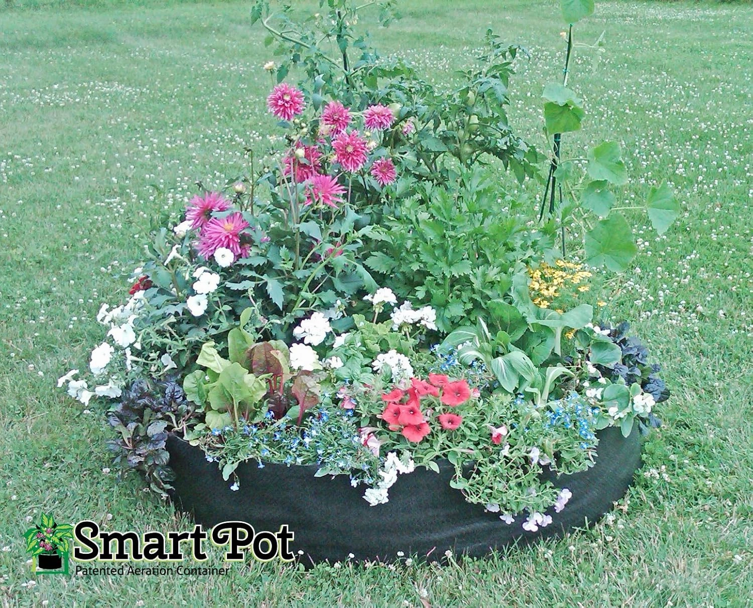 Smart Pots 12050 Big Bag Bed Fabric Raised Planting Bed, Junior , Black