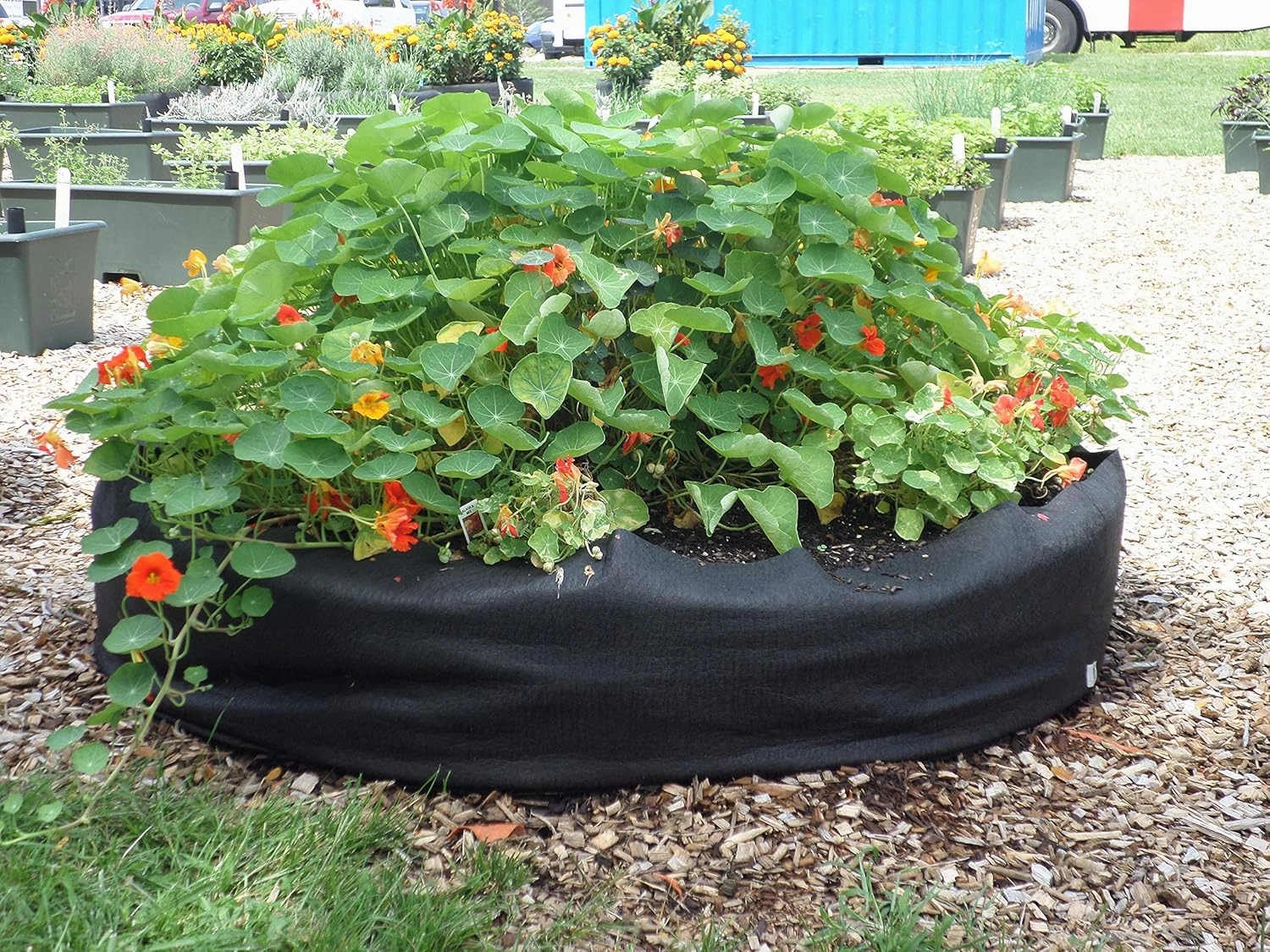Smart Pots 12050 Big Bag Bed Fabric Raised Planting Bed, Junior , Black