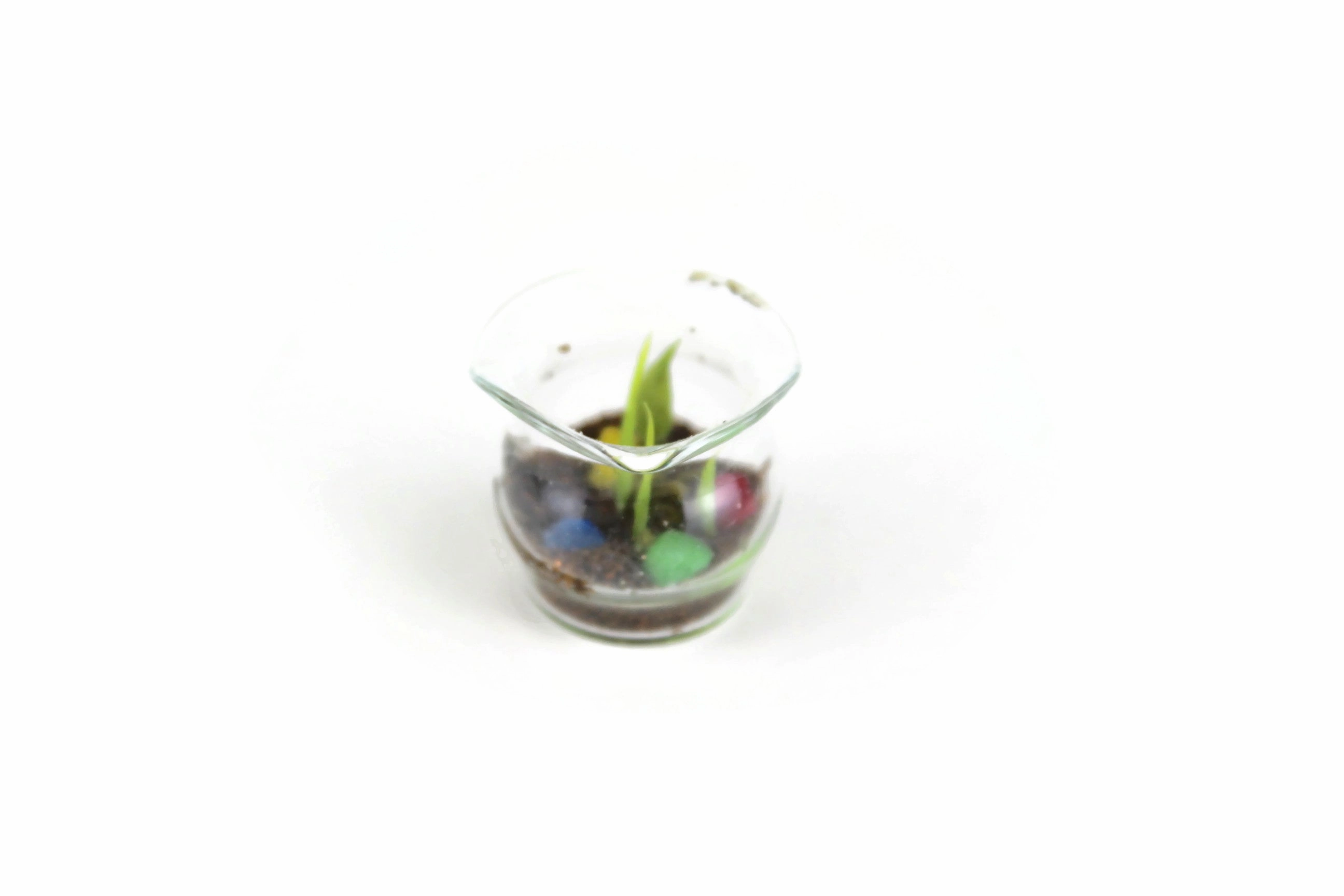 Vintage 1:12 Miniature Dollhouse Glass Plant Terrarium or Turtle Habitat