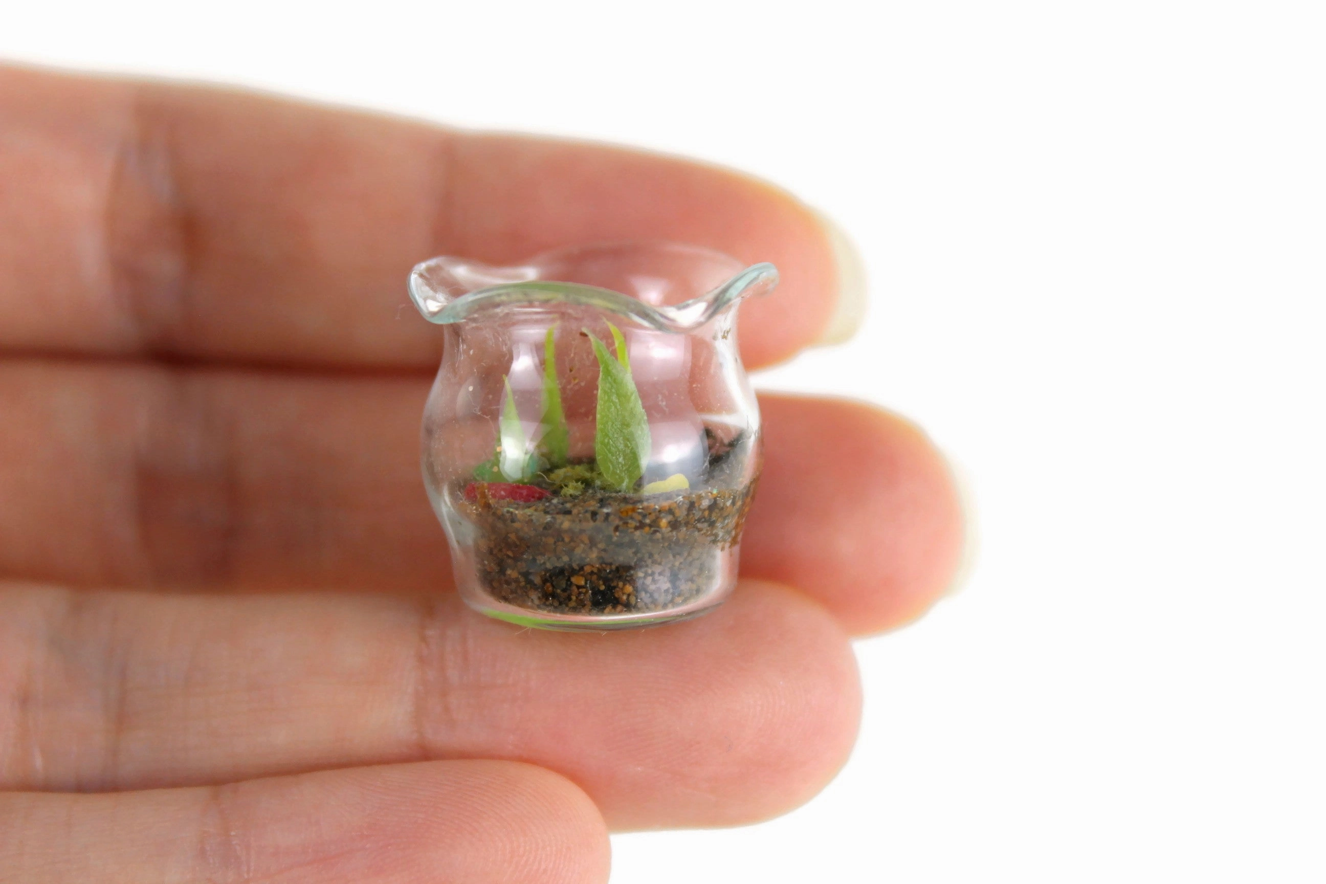 Vintage 1:12 Miniature Dollhouse Glass Plant Terrarium or Turtle Habitat